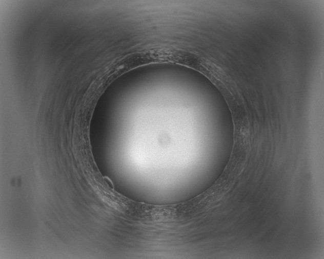 X0000079580865200612011215