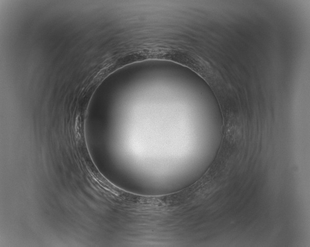 X0000079580866200612011215