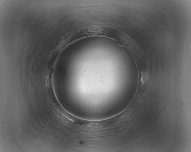 X0000079580867200612011215