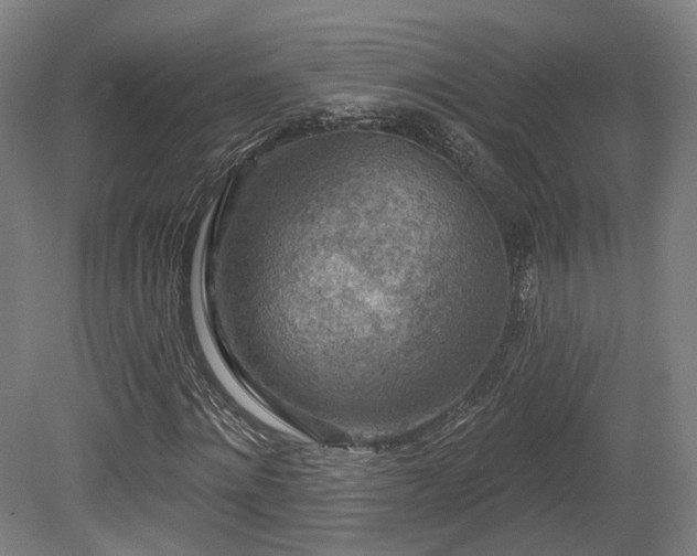 X0000079580868200612011215