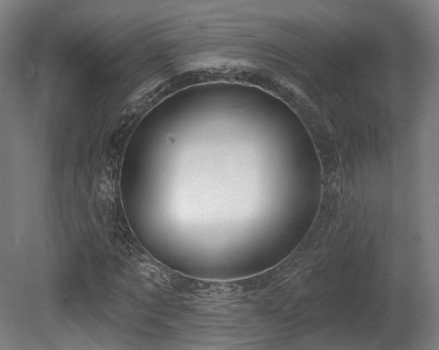X0000079580869200612011215