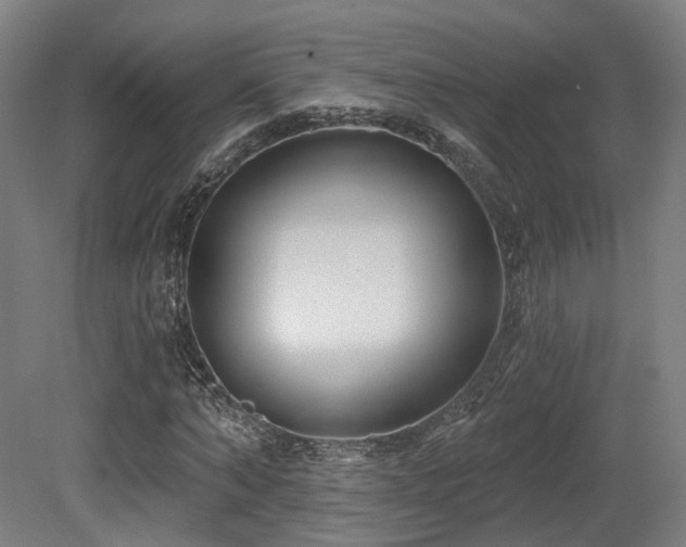 X0000079580870200612011215