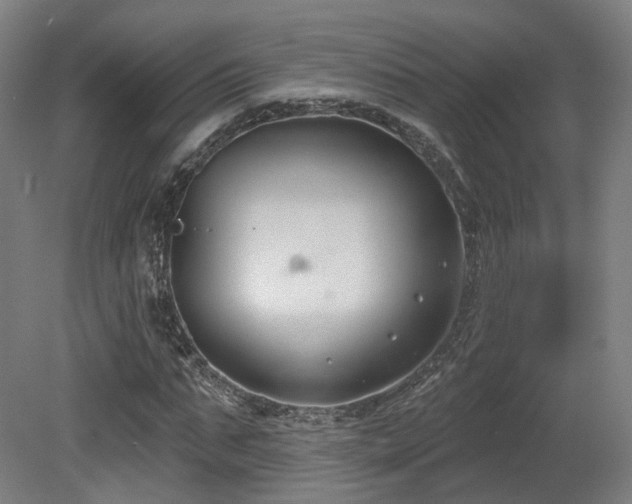X0000079580871200612011215