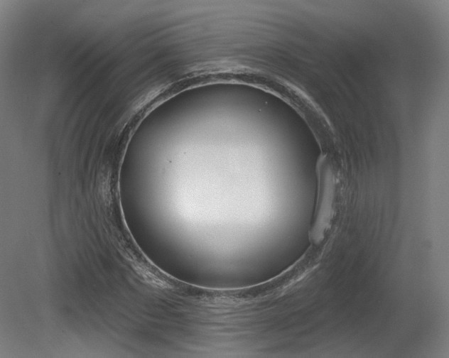X0000079580873200612011215