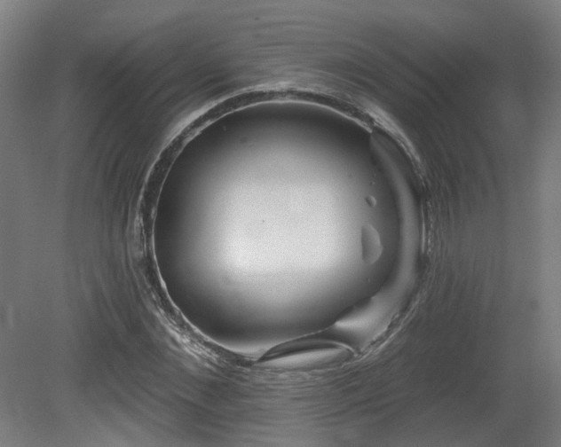 X0000079580876200612011215
