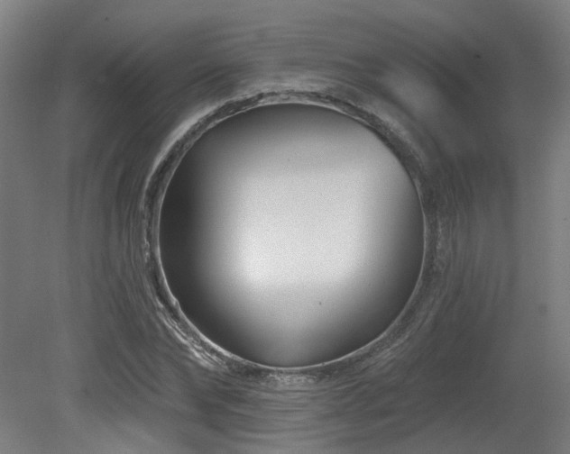 X0000079580878200612011215