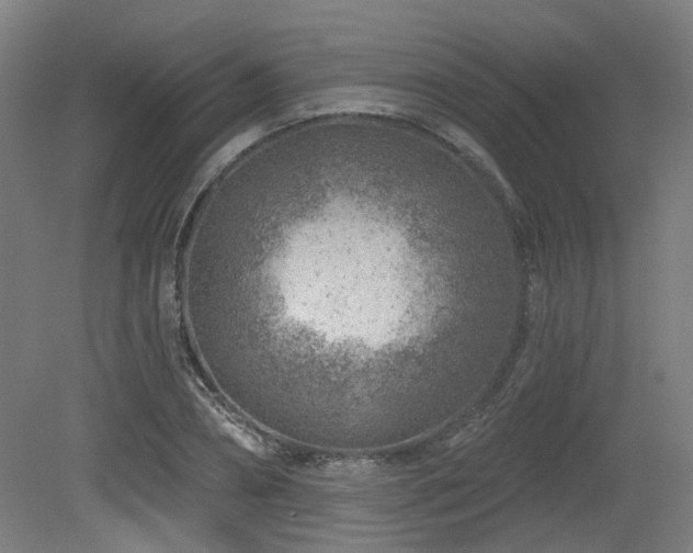 X0000079580882200612011215