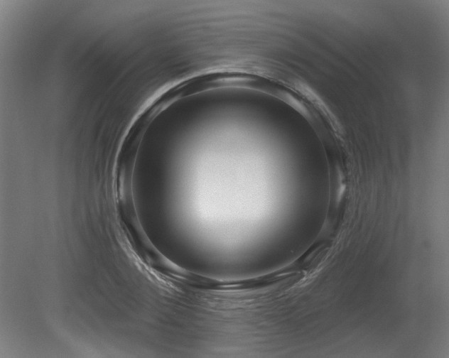 X0000079580884200612011215