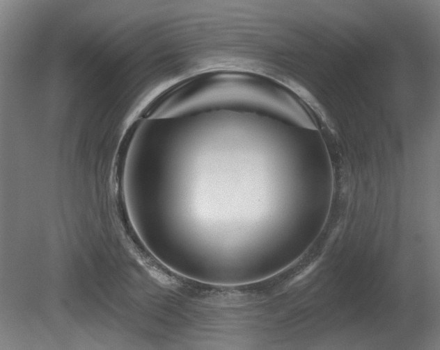 X0000079580885200612011215