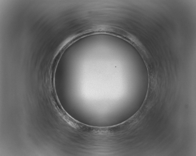 X0000079580886200612011215