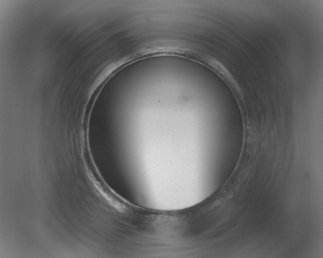 X0000079580890200612011215