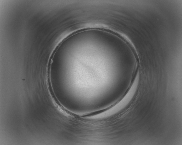 X0000079580895200612011215