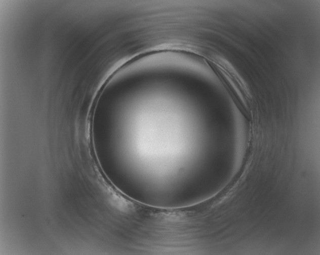 X0000079580900200612011215