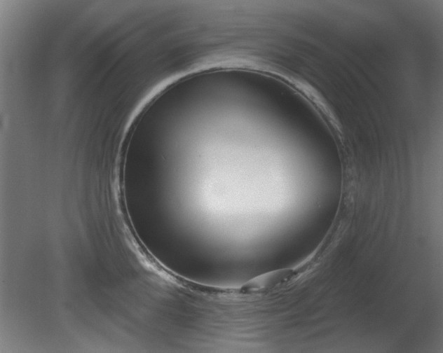 X0000079580904200612011215