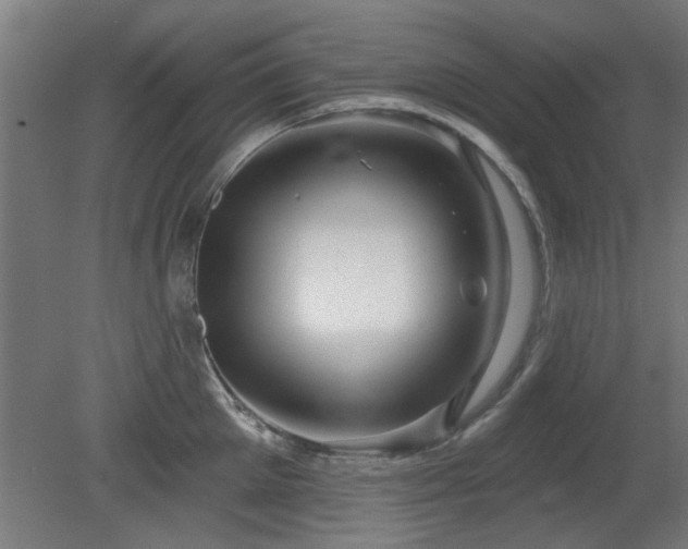 X0000079580905200612011215