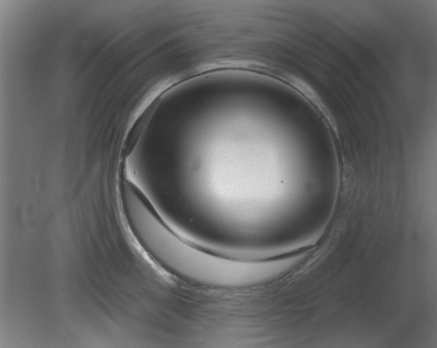 X0000079580906200612011215