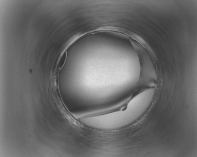 X0000079580908200612011215