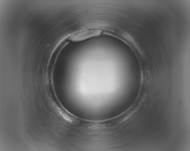 X0000079580924200612011214