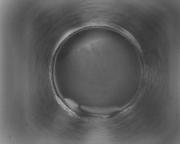 X0000079580958200612011215