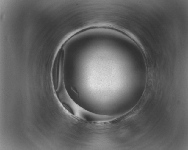 X0000079580959200612011215