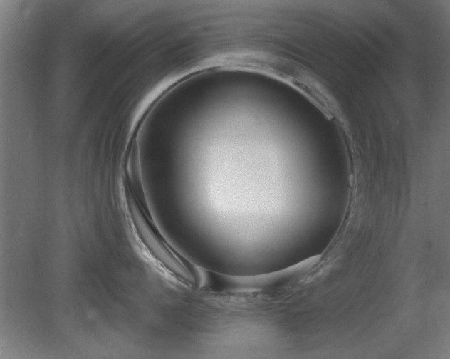 X0000079580960200612011215