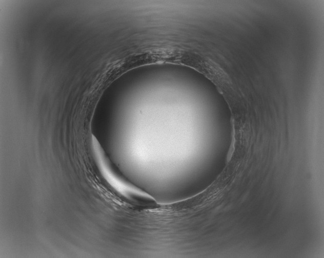 X0000079580961200612011214