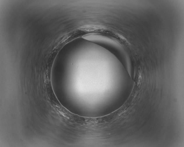 X0000079580965200612011214