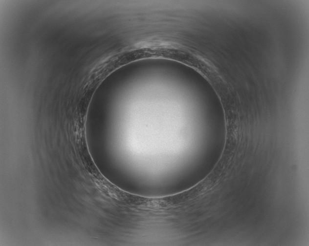 X0000079580966200612011214