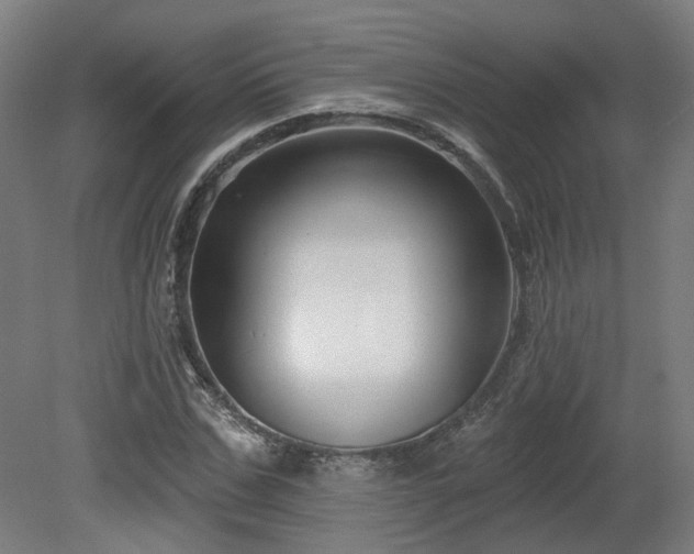 X0000079580971200612011214