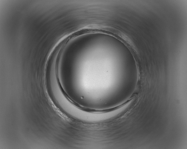 X0000079580976200612011213