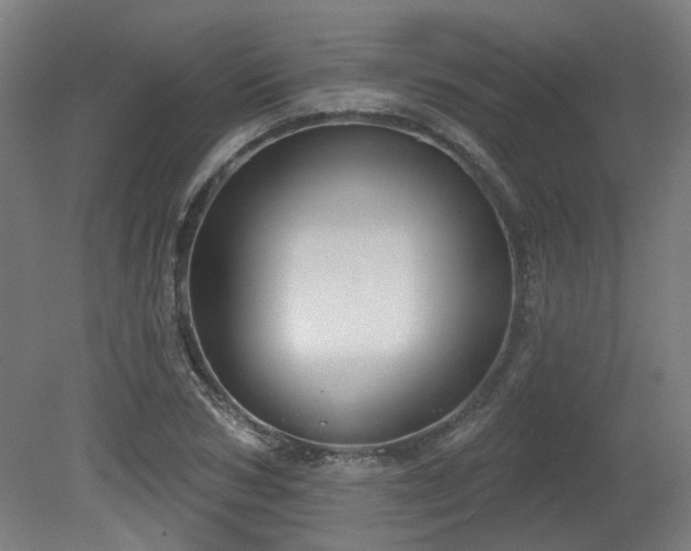 X0000079580978200612011213