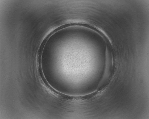 X0000079580983200612011213