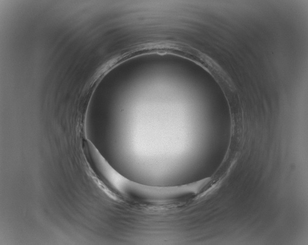 X0000079580985200612011213