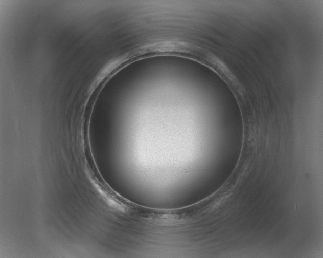 X0000079580986200612011213