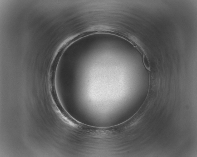 X0000079580987200612011213