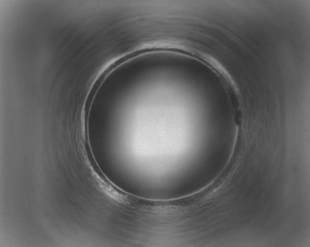X0000079580988200612011213