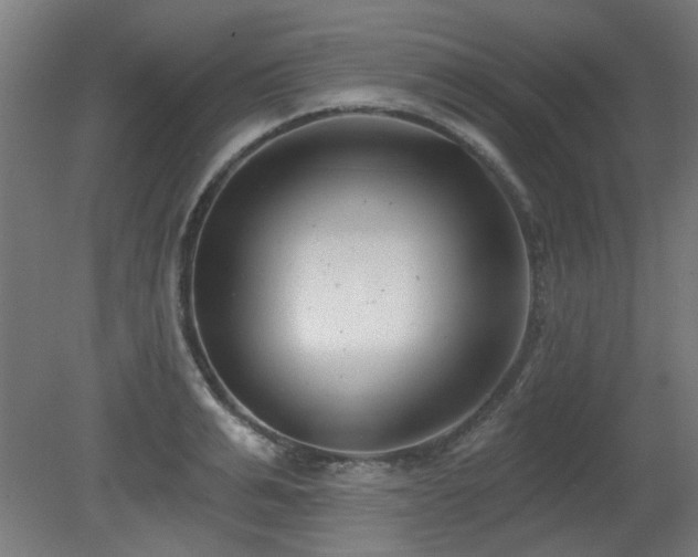 X0000079580991200612011213