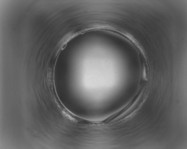 X0000079581001200612011213