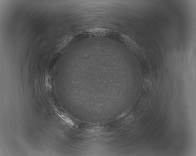 X0000079581010200612011212