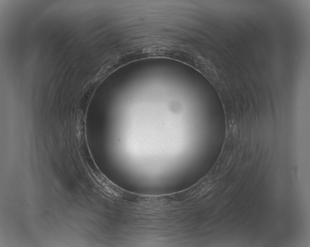 X0000079581012200612011212