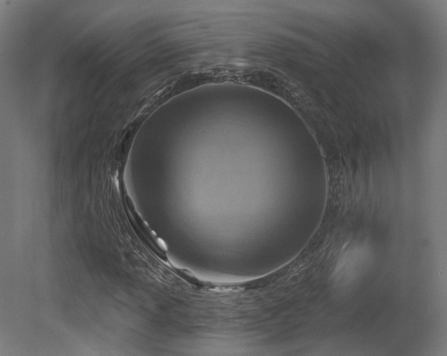 X0000079581013200612011212