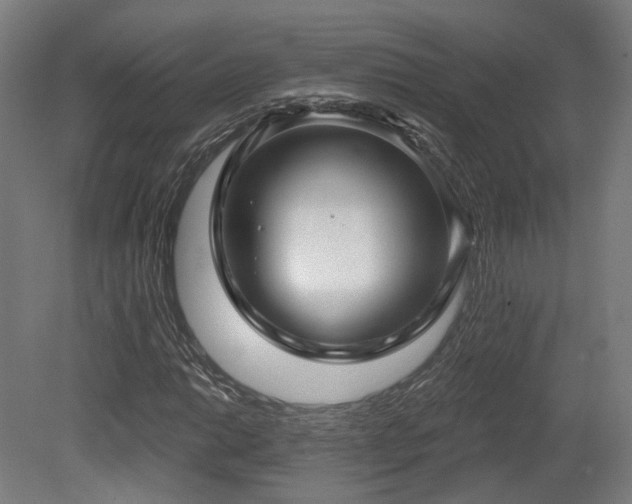 X0000079581014200612011212