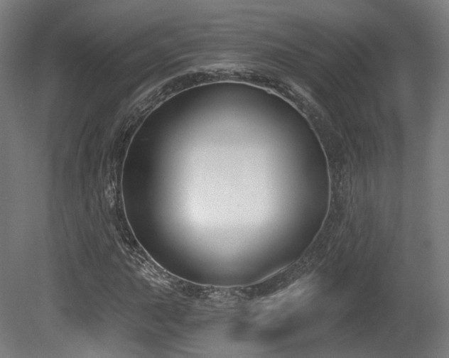 X0000079581015200612011212