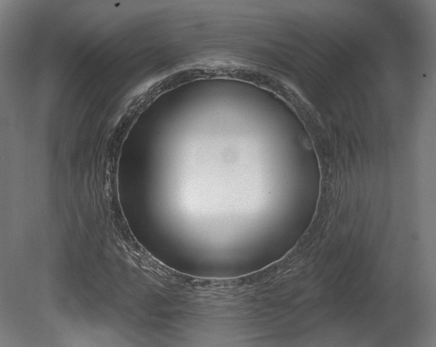 X0000079581016200612011212
