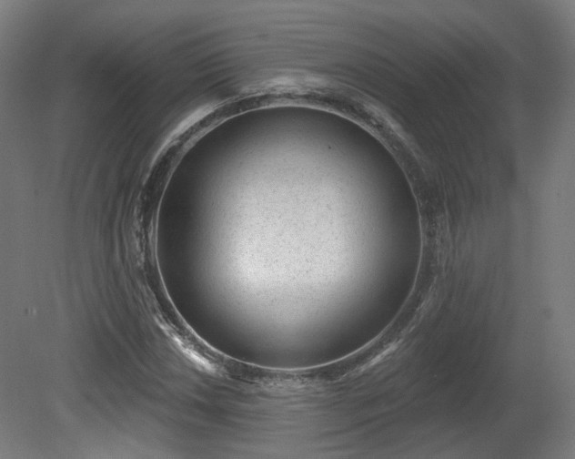 X0000079581018200612011212