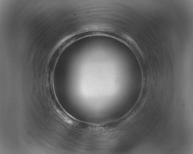 X0000079581019200612011212