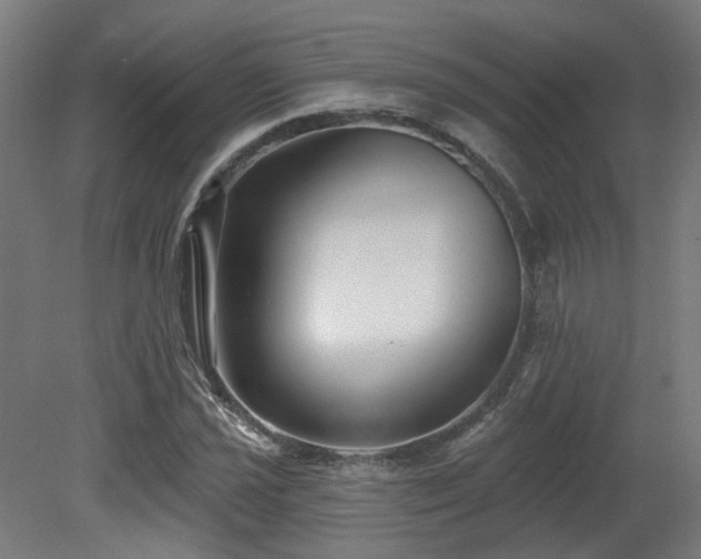 X0000079581021200612011212