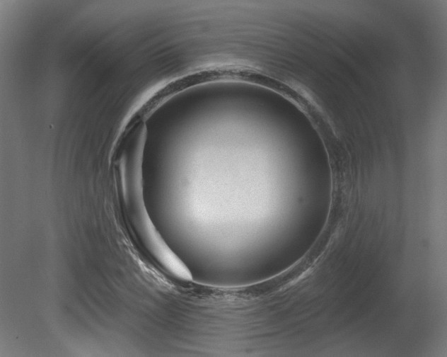 X0000079581022200612011212