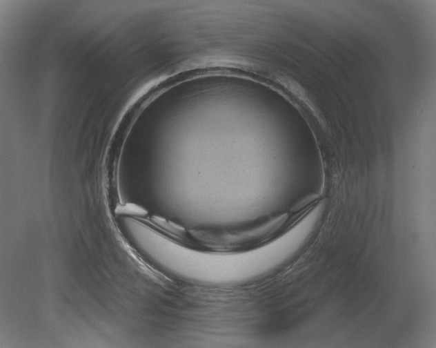 X0000079581024200612011212