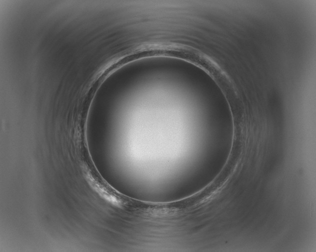 X0000079581025200612011212